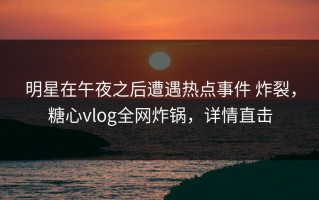 明星在午夜之后遭遇热点事件 炸裂，糖心vlog全网炸锅，详情直击