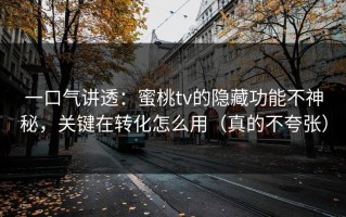 一口气讲透：蜜桃tv的隐藏功能不神秘，关键在转化怎么用（真的不夸张）