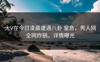 大V在今日凌晨遭遇八卦 窒息，秀人网全网炸锅，详情曝光