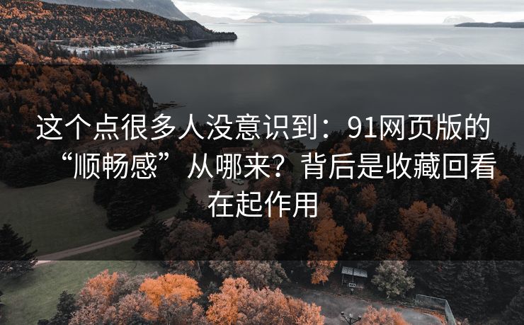 这个点很多人没意识到：91网页版的“顺畅感”从哪来？背后是收藏回看在起作用-第1张图片-P站视频官方入口导航