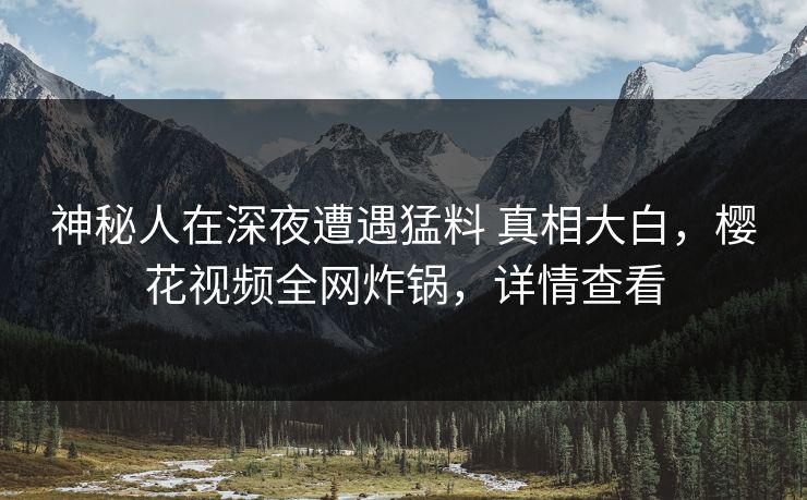 神秘人在深夜遭遇猛料 真相大白，樱花视频全网炸锅，详情查看-第1张图片-P站视频官方入口导航